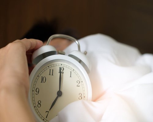 Close up of an alarm clock next to a plant with warm morning light